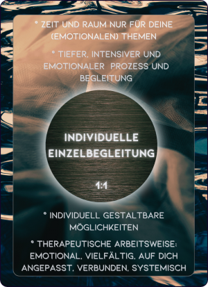 systemische Einzelbegleitung - individuell
